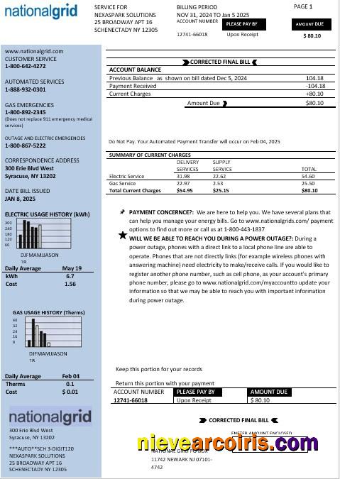 USA New York National Grid business utility bill